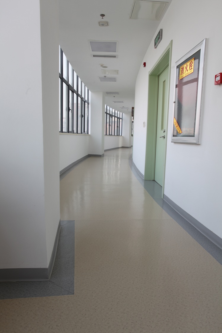 鳳凰島中學(xué)杰尼瑞